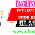 Class 6 English Project works