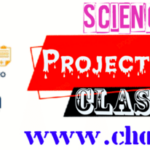 Class 6 Science Project works