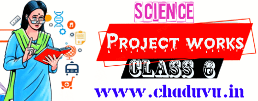 Class 6 Science Project works