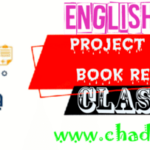 Class 7 English Project works
