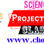 Class 7 Science Project works