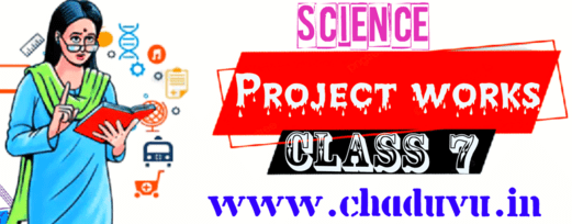 Class 7 Science Project works