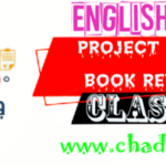 Class 8 English Project works