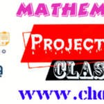 Class 8 Mathematics Project works