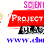 Class 8 Science Project works