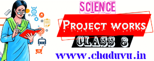 Class 8 Science Project works