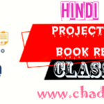 Class 10 Hindi Project works Book reviews