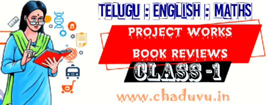 Class 1 Telugu English Maths EVS Project works