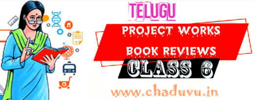 Class 6 Telugu Project works Book reviews