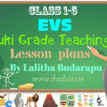 EVS Multi grade Teaching Lesson plans