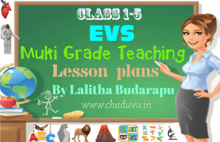 EVS Multi grade Teaching Lesson plans