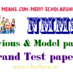 NMMS Previous and Model papers