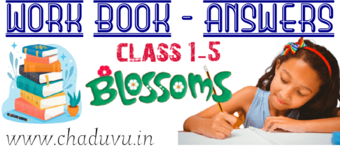 Class 1-5 English work book answers