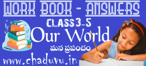Class 1-5 EVS work book answers