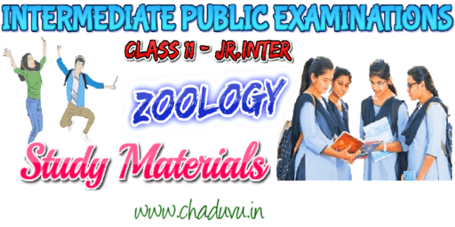 Class 11 Zoology Study materials