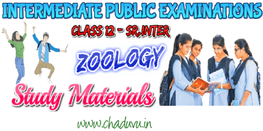 Class 12 Zoology Study materials