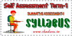 AP Summative Assessment-1 Syllabus